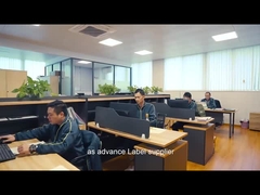 Introduzione della nostra società